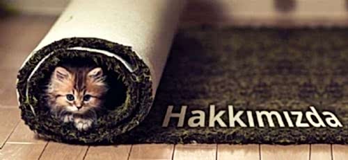 Hakkımızda Hakkımızda